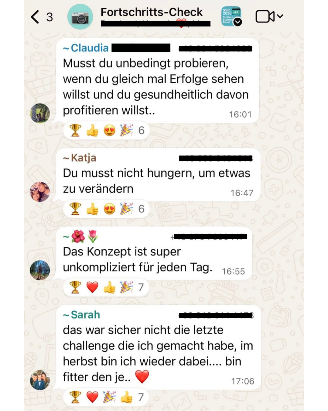 Mehrere WhatsApp-Nachrichten aus der Teilnehmer-Gruppe: du musst nicht hungern, das Konzept ist unkompliziert